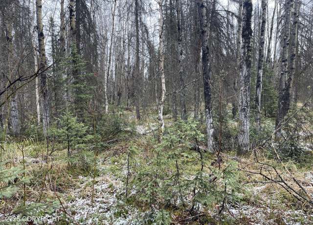 Property at 19772 E Montana Creek Rd, Talkeetna, AK 99676