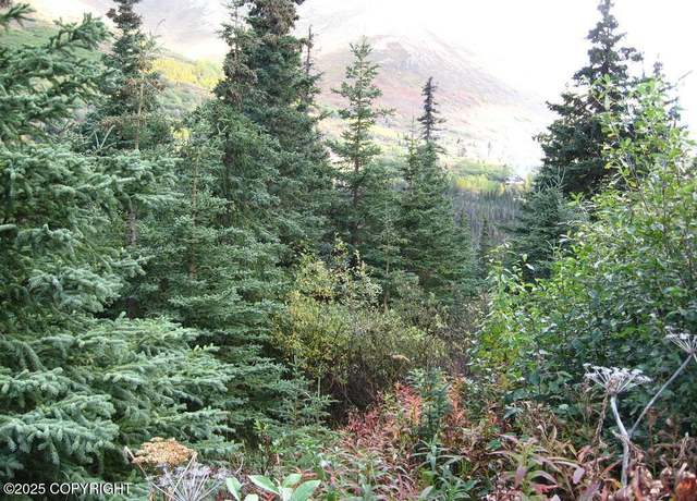 Property at L1 West River Dr, Eagle River, AK 99577