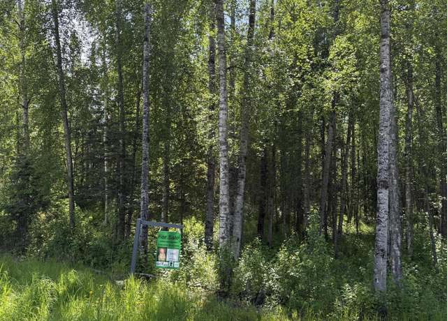 Property at 000 Drinkhouse Blfs, Wasilla, AK 99654