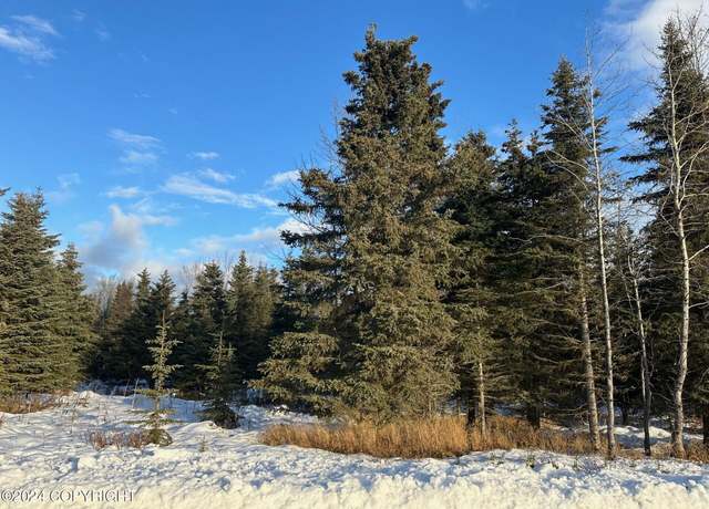 Property at 66386 Aspen Ave, Ninilchik, AK 99639