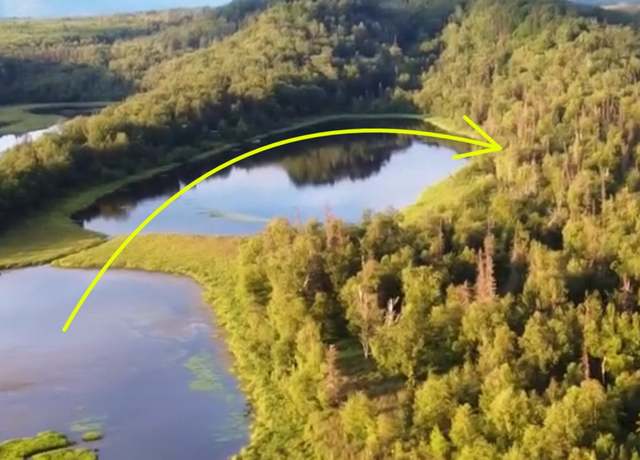 Property at LC2 Wolverine Lake Front, Palmer, AK 99645