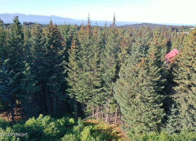 Property at 401 Cozy Cove Dr, Homer, AK 99603