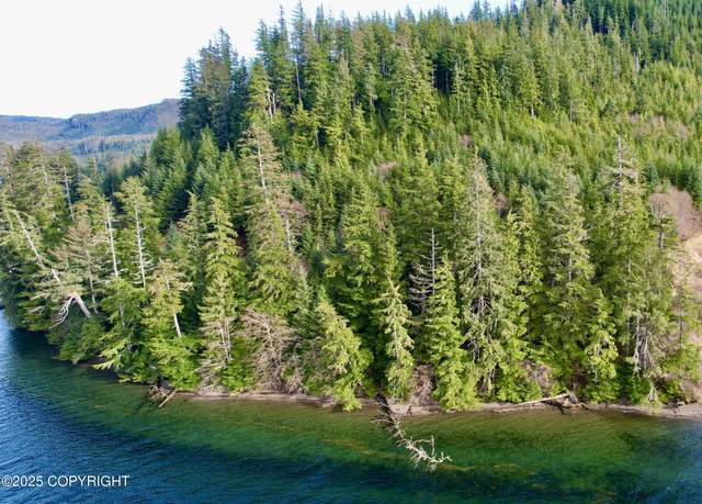 Property at 9.2 Mile Port Saint Nicholas Rd, Craig, AK 99921