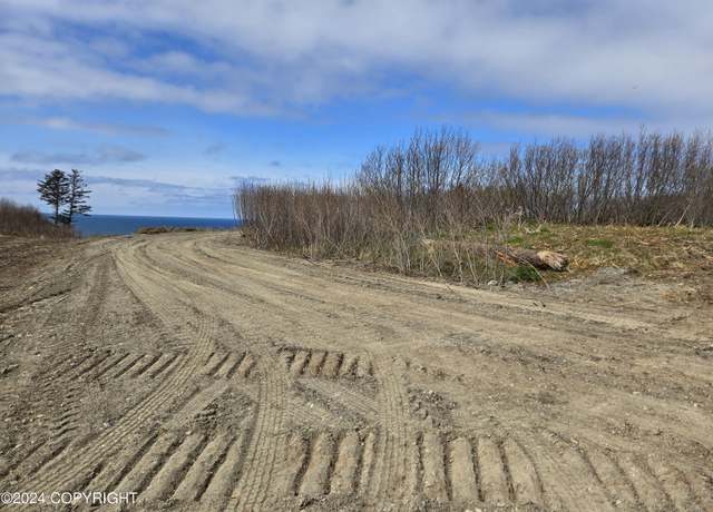Property at L7 Danver, Anchor Point, AK 99556