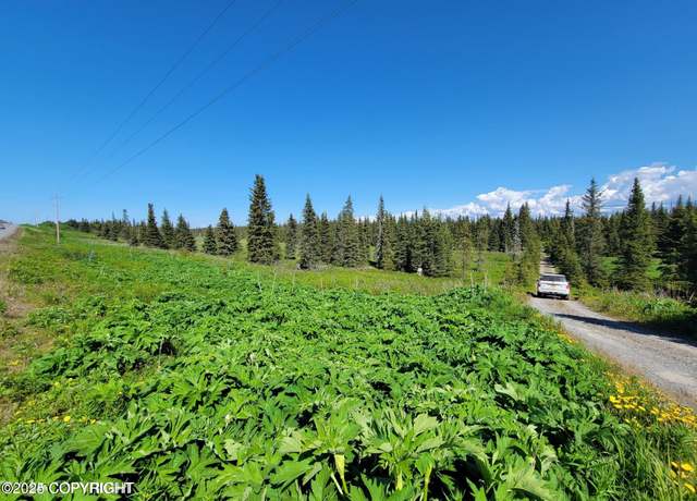 Property at 19870 Sterling Hwy, Ninilchik, AK 99639