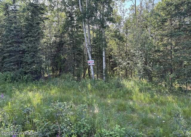Property at 8A1 Lake Rd, Soldotna, AK 99669