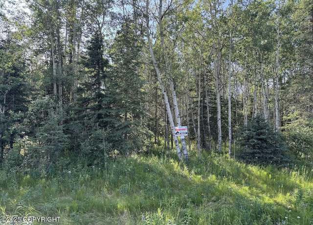 Property at 8A2 Lake Rd, Soldotna, AK 99669