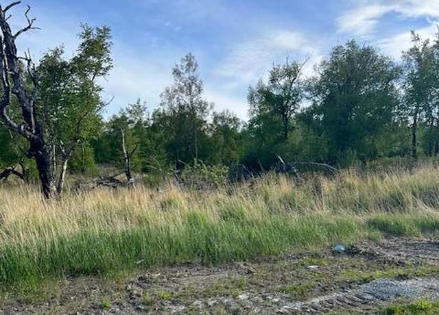 Property at L4 B7 E Blue Atlas Cir, Palmer, AK 99645