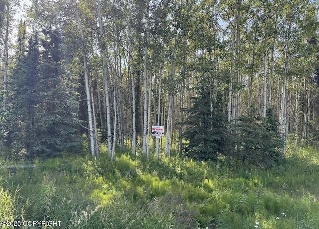 Property at 8B1 Lake Rd, Soldotna, AK 99669