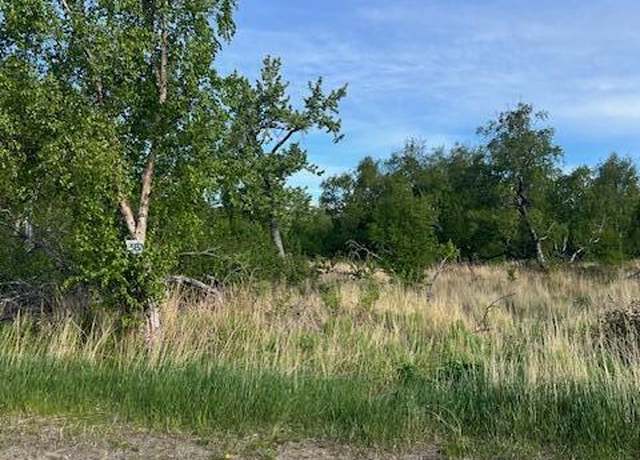 Property at L5 B7 E Blue Atlas Cir, Palmer, AK 99645