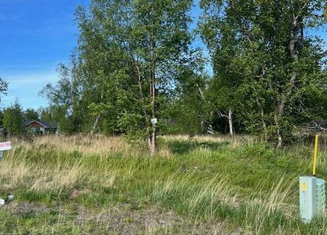 Property at L6 B7 E Blue Atlas Cir, Palmer, AK 99645