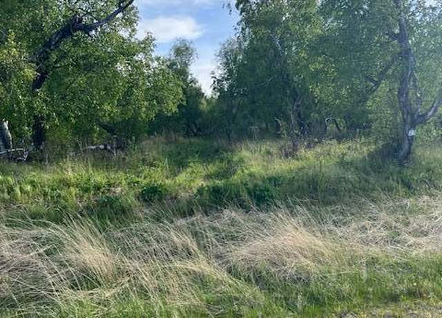 Property at L8 B7 N Cedar Hills Dr, Palmer, AK 99645