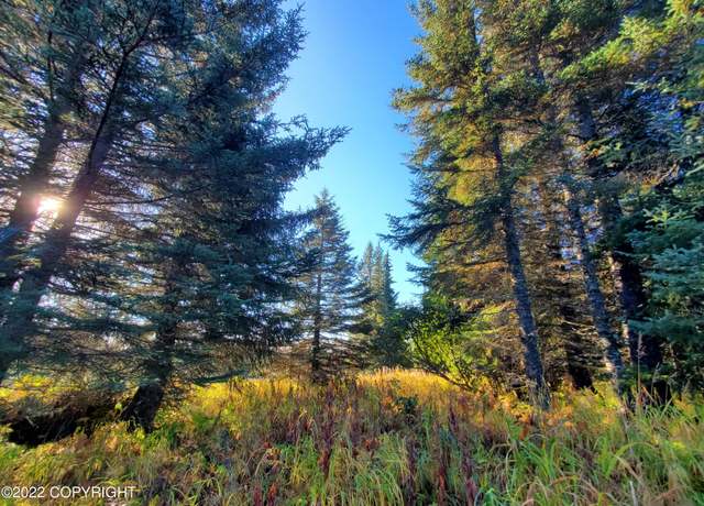 Property at 67572 Shavila Rd, Ninilchik, AK 99639