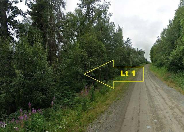 Property at L1 B2 New Homesteader Ave, Wasilla, AK 99654
