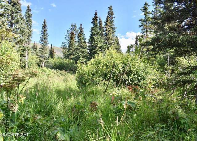 Property at L4 B6V Rabbit Creek Vw, Anchorage, AK 99516