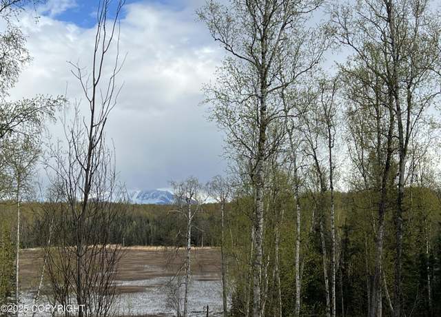 Property at 8919 W Cormorant Way, Wasilla, AK 99623