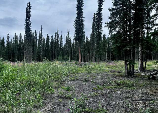Property at L13 Borealis Ave, Tok, AK 99780
