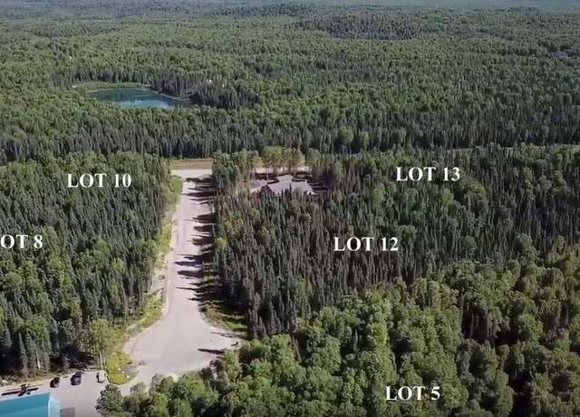 Property at 29384 S Wingtie St, Talkeetna, AK 99676