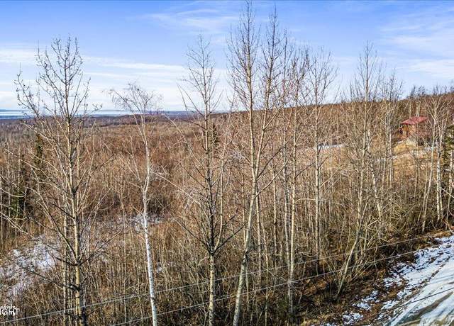 Property at 6917 Bogle Bluff Dr, Wasilla, AK 99623
