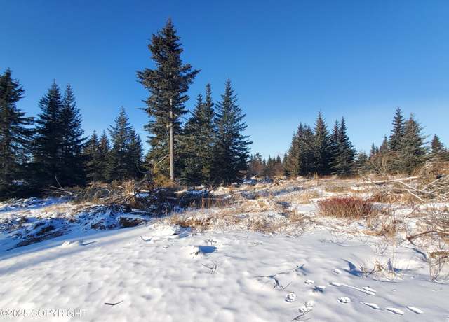 Property at 17455 Chefornak St, Ninilchik, AK 99639