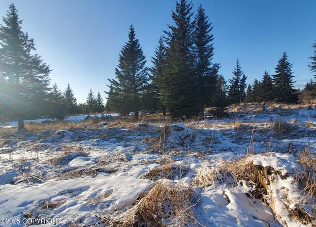 Property at 17509 Chefornak St, Ninilchik, AK 99639