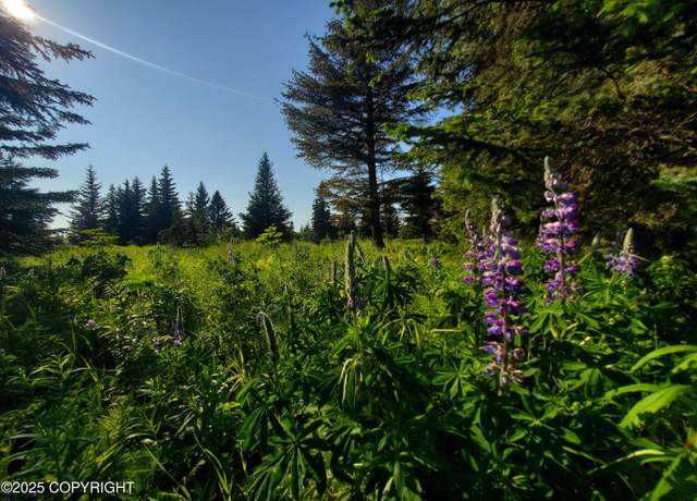 Property at 17509 Chefornak St, Ninilchik, AK 99639