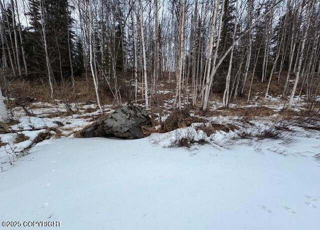 Property at L 4 No Rd, Big Lake, AK 99652