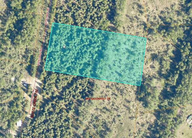 Property at L26 Big Salchaket, Salcha, AK 99714