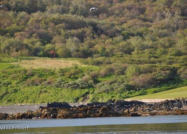 Property at NHN Uyak Bay, Larsen Bay, AK 99624