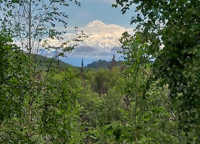 Property at 20499 E Rampart Loop, Talkeetna, AK 99676