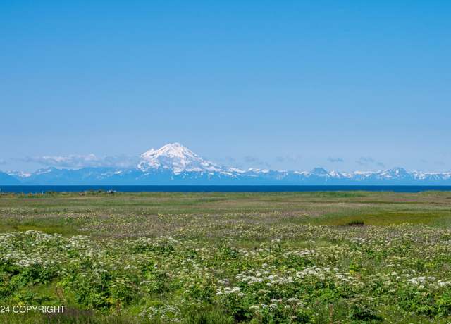 Property at 74160 Anchor Point Rd, Anchor Point, AK 99556