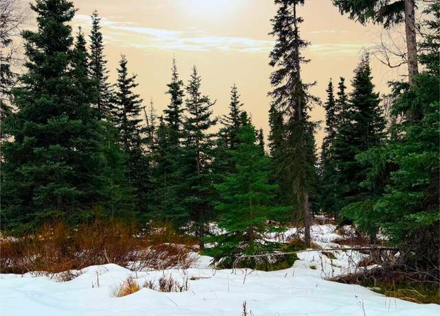 Property at 14374 Board St, Clam Gulch, AK 99568
