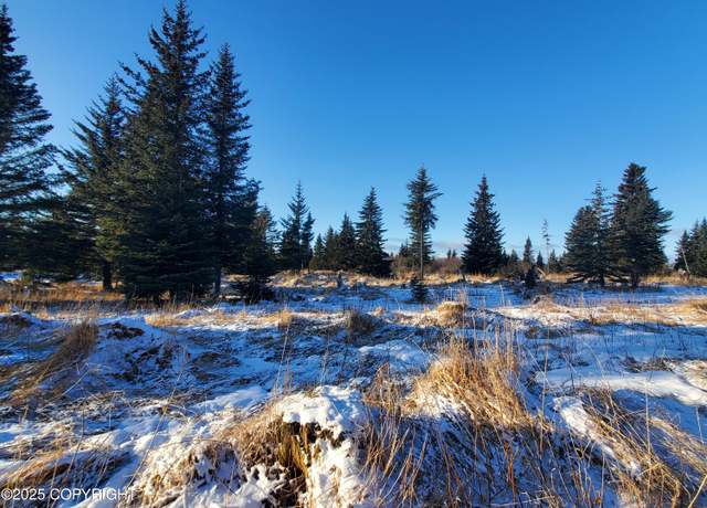 Property at 17537 Chefornak St, Ninilchik, AK 99639