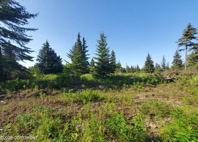 Property at 17537 Chefornak St, Ninilchik, AK 99639