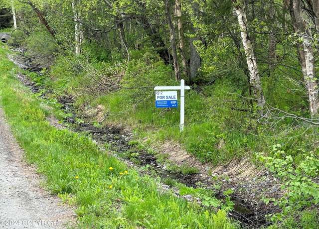 Property at L4 B3 Kallander Ave, Anchorage, AK 99516