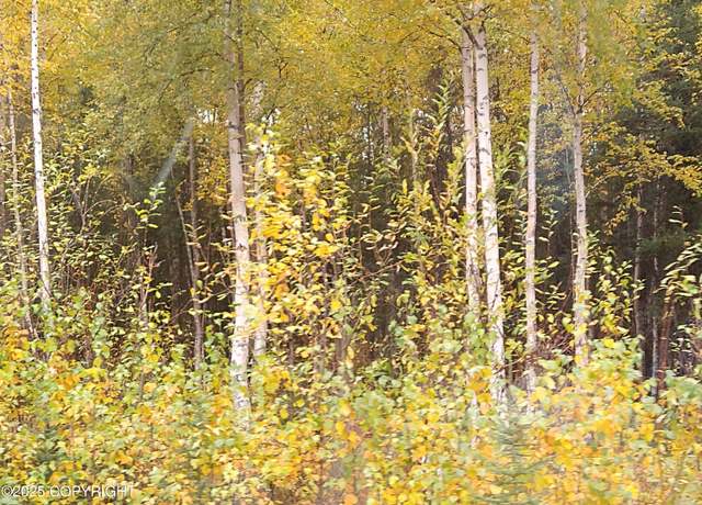Property at 2740 N Gunflint Trl, Wasilla, AK 99623