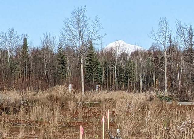 Property at 47345 S Hawk Ave, Willow, AK 99688