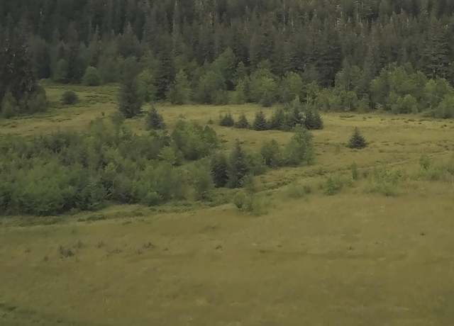 Property at Tract A2 Knig Slough, Wrangell, AK 99929