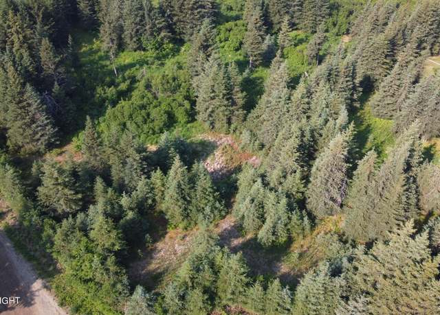 Property at 1170 Skagit Cir, Homer, AK 99603