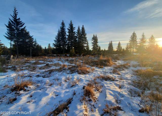 Property at 17561 Chefornak St, Ninilchik, AK 99639