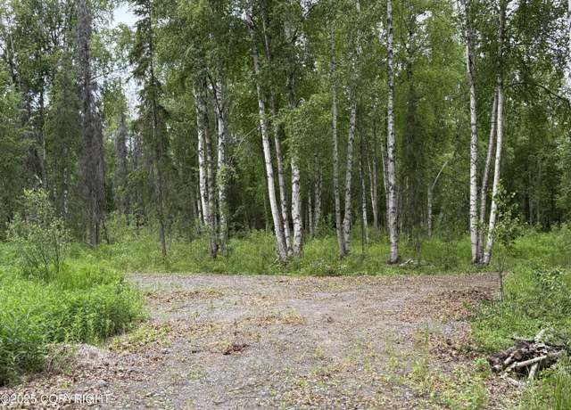 Property at 14412 E Ian Tawney Dr, Willow, AK 99688