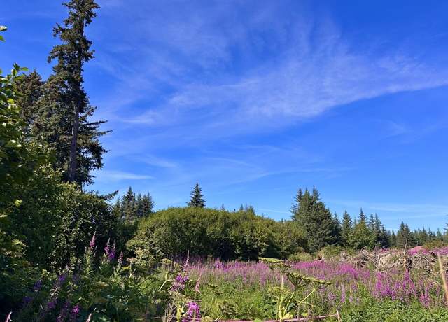 Property at 72278 Valleyside Ave, Anchor Point, AK 99556