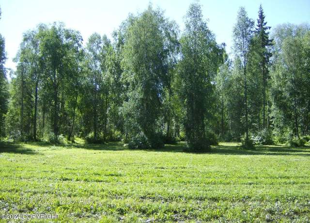 Property at 15894 Mercedes Dr, Talkeetna, AK 99676