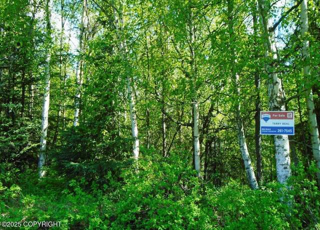 Property at L1 Downey Finch Dr, Anchorage, AK 99516