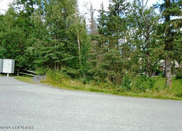 Property at L1 Downey Finch Dr, Anchorage, AK 99516