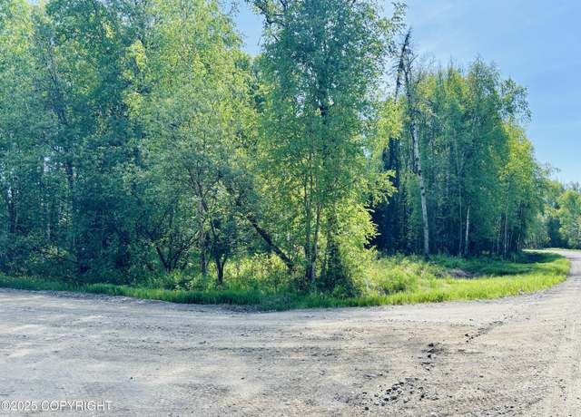 Property at L9 N White Night Dr, Houston, AK 99623
