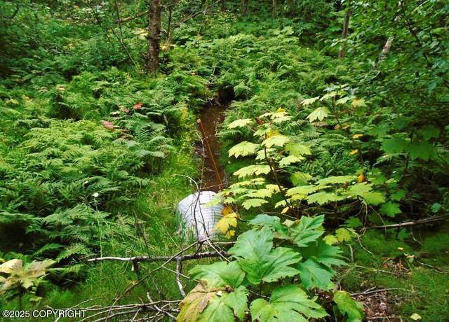 Property at Lot 102 NW Loc Sault Ave, Anchorage, AK 99516
