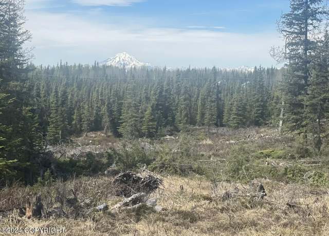 Property at TRACT 1 CLAM GULCH HEIGHTS SUB, Clam Gulch, AK 99568