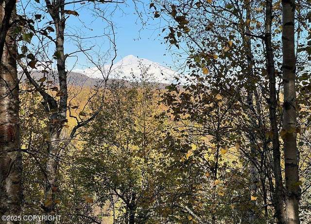 Property at 21485 E Quarah Lake Ave, Talkeetna, AK 99676