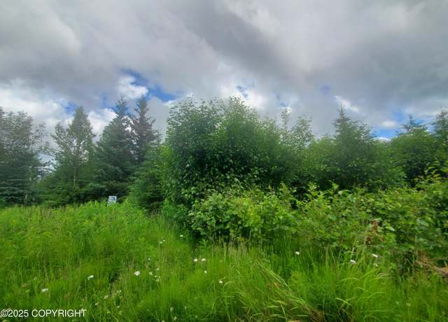 Property at 32370 Stacey Ln, Anchor Point, AK 99556